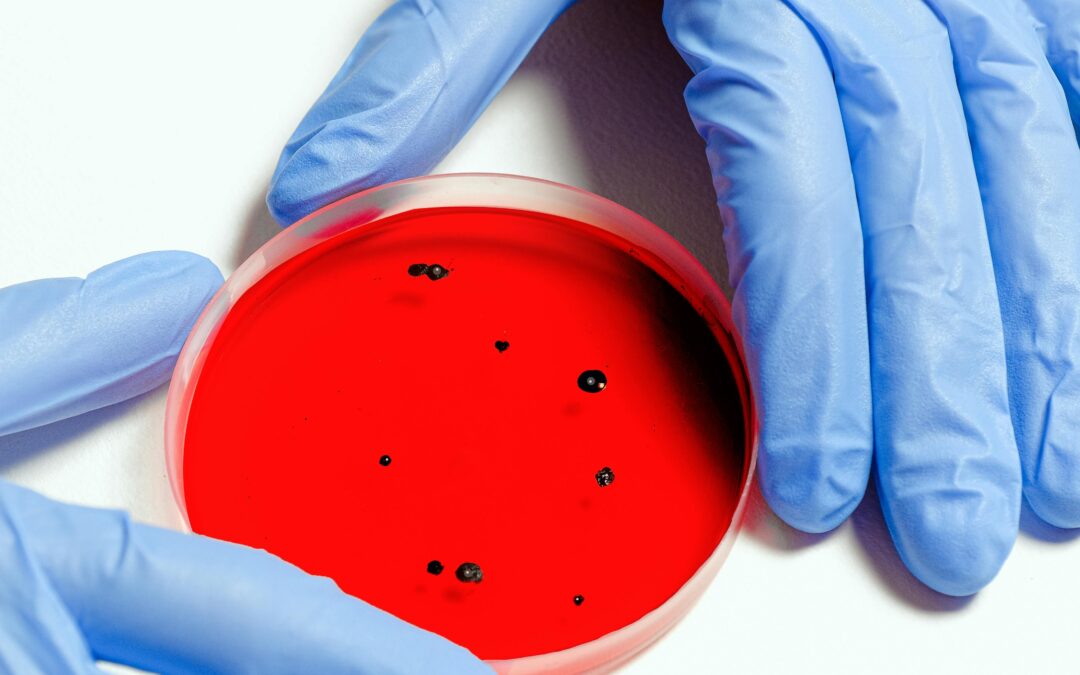 Der Virus Hoax – Angst vor dem Nichts